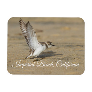 Magnet Flexible Stretch de Pluvier neigeux Imperial Beach Californ