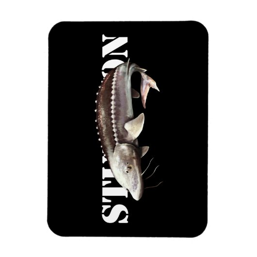 Magnet Flexible Sturgeon (Vertical)