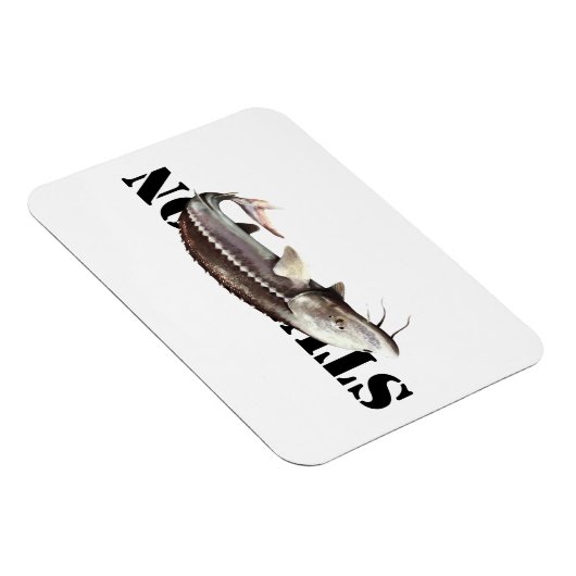 Magnet Flexible Sturgeon (Côté Droit)