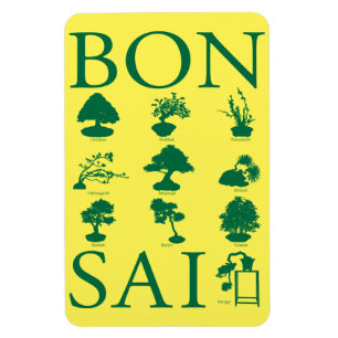 Magnet Flexible Styles de base de l'arbre Bonsai