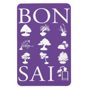 Magnet Flexible Styles de base de l'arbre Bonsai