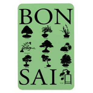 Magnet Flexible Styles de base de l'arbre Bonsai