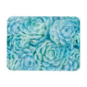 Magnet Flexible Succulents bleus (Horizontal)