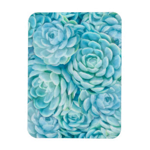 Magnet Flexible Succulents bleus