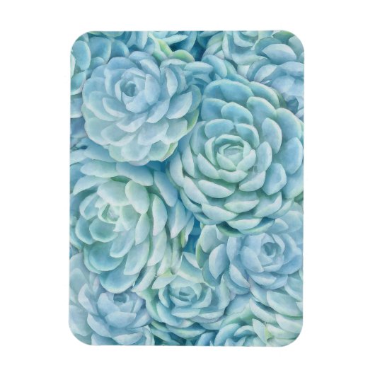 Magnet Flexible Succulents bleus (Vertical)