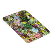 Magnet Flexible Succulents colorés (Côté Droit)