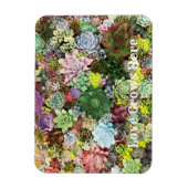 Magnet Flexible Succulents colorés (Vertical)