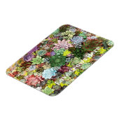 Magnet Flexible Succulents colorés (Côté Gauche)