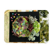 Magnet Flexible Succulents décoratifs (Horizontal)