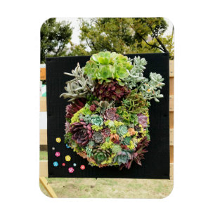 Magnet Flexible Succulents décoratifs