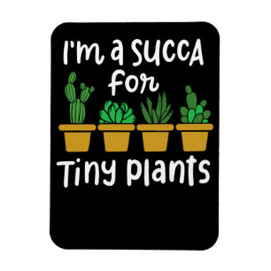 Magnet Flexible Succulents Petits Plantes