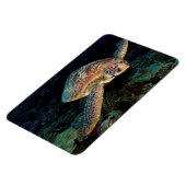 Magnet Flexible Sulawesi | Tortue marine verte (Côté Gauche)