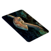 Magnet Flexible Sulawesi | Tortue verte (Côté Droit)
