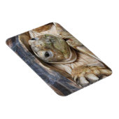 Magnet Flexible Sulcata Tortoise Face Gros plan (Côté Droit)