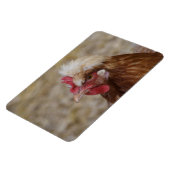 Magnet Flexible Sulmtaler Hen (Côté Gauche)