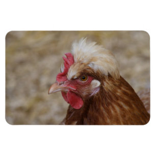 Magnet Flexible Sulmtaler Hen