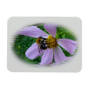 Magnet Flexible Summer heat