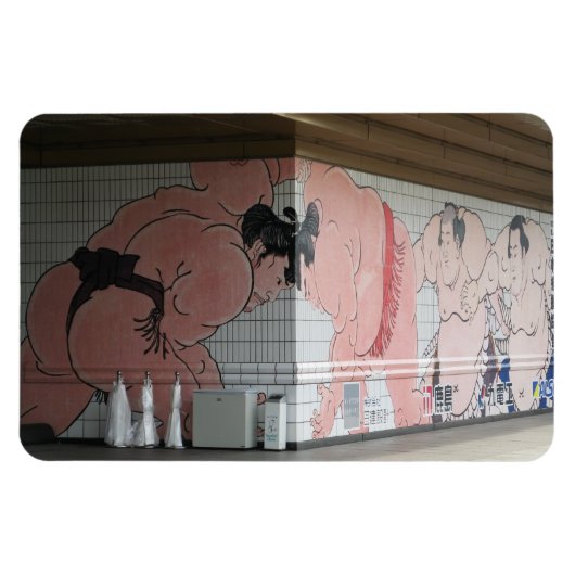 Magnet Flexible Sumo Mural Art (Horizontal)