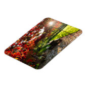 Magnet Flexible Sun through autumn leaves, Croatia (Côté Gauche)