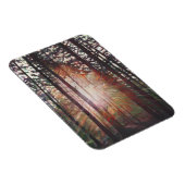 Magnet Flexible Sunburst 2010 (Côté Droit)