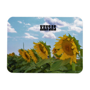 Magnet Flexible Sunflower de Kansas