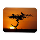 Magnet Flexible Sunrise at the Masai Mara, Kenya (Horizontal)