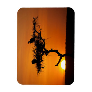 Magnet Flexible Sunrise at the Masai Mara, Kenya