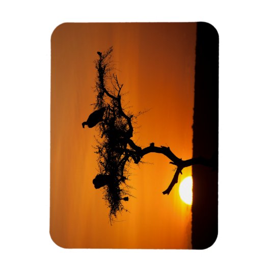 Magnet Flexible Sunrise at the Masai Mara, Kenya (Vertical)
