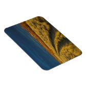 Magnet Flexible Sunset highlights the red bark of bushes (Côté Droit)