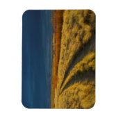 Magnet Flexible Sunset highlights the red bark of bushes (Vertical)