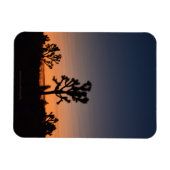 Magnet Flexible Sunset Joshua (Horizontal)