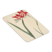 Magnet Flexible Superbe Drapeau De Maïs (Côté Droit)