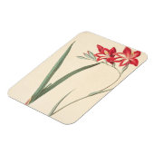Magnet Flexible Superbe Drapeau De Maïs (Côté Gauche)