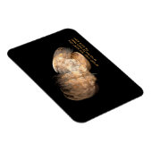 Magnet Flexible Sur les ailes d'Aigle (Côté Droit)