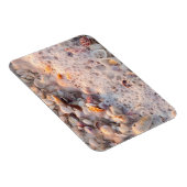 Magnet Flexible Surf Et Coquillages Entrants Sur L'Île De Sanibel (Côté Droit)