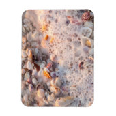 Magnet Flexible Surf Et Coquillages Entrants Sur L'Île De Sanibel (Vertical)