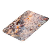 Magnet Flexible Surf Et Coquillages Entrants Sur L'Île De Sanibel (Côté Gauche)