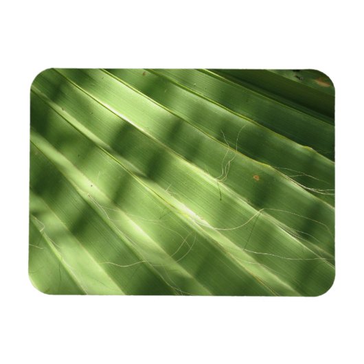 Magnet Flexible Surfaces naturellement Cool_Fluted Frond (Horizontal)