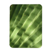 Magnet Flexible Surfaces naturellement Cool_Fluted Frond (Vertical)