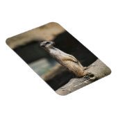 Magnet Flexible Suricate (Côté Droit)
