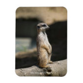 Magnet Flexible Suricate (Vertical)