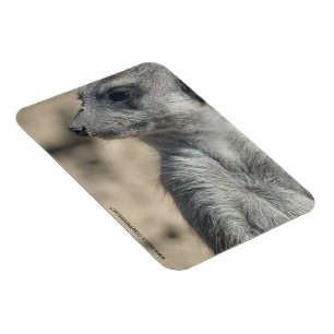 Magnet Flexible Suricate drôle