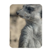 Magnet Flexible Suricate drôle (Vertical)