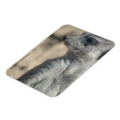 Magnet Flexible Suricate drôle (Côté Gauche)