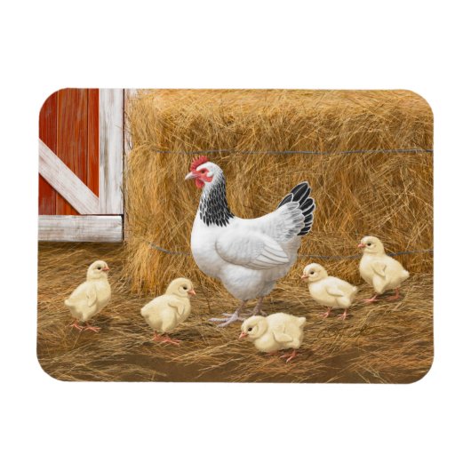 Magnet Flexible Sussex Chicken Mama Hen et Chicks (Horizontal)