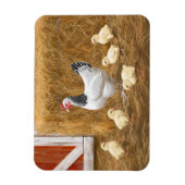 Magnet Flexible Sussex Chicken Mama Hen et Chicks (Vertical)