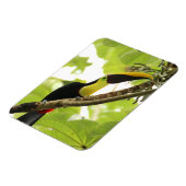 Magnet Flexible Swainson Toucan Exotic Bird (Côté Gauche)