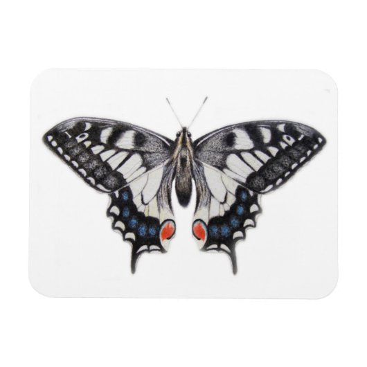 Magnet Flexible Swallowtail 2012 (Horizontal)