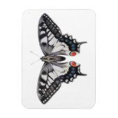 Magnet Flexible Swallowtail 2012 (Vertical)