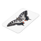 Magnet Flexible Swallowtail 2012 (Côté Gauche)